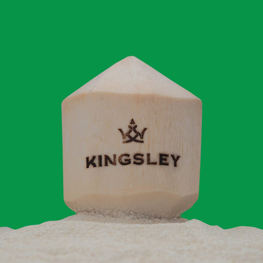 Kokelapa Kingsley